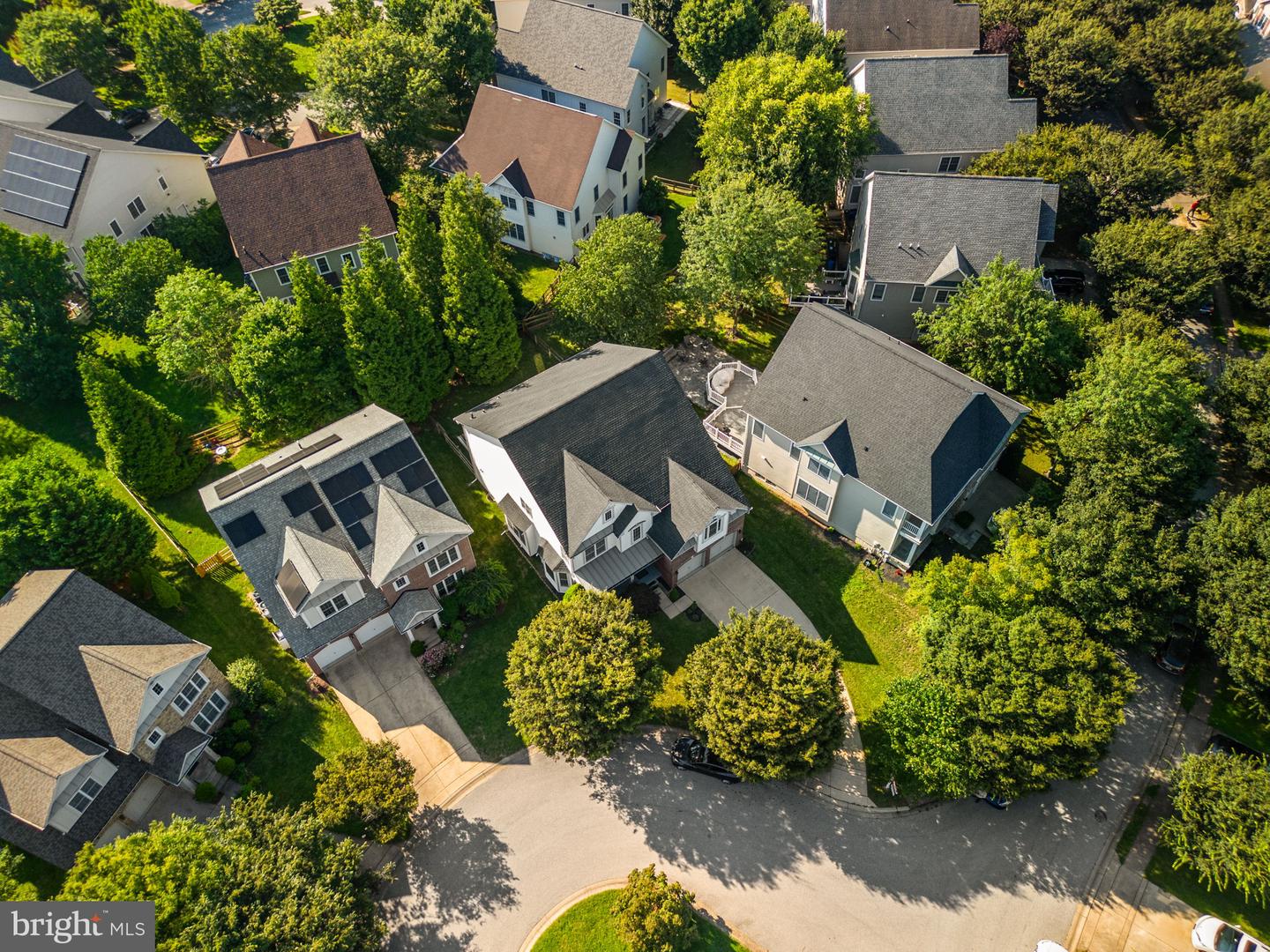 10120 Summer Glow Walk