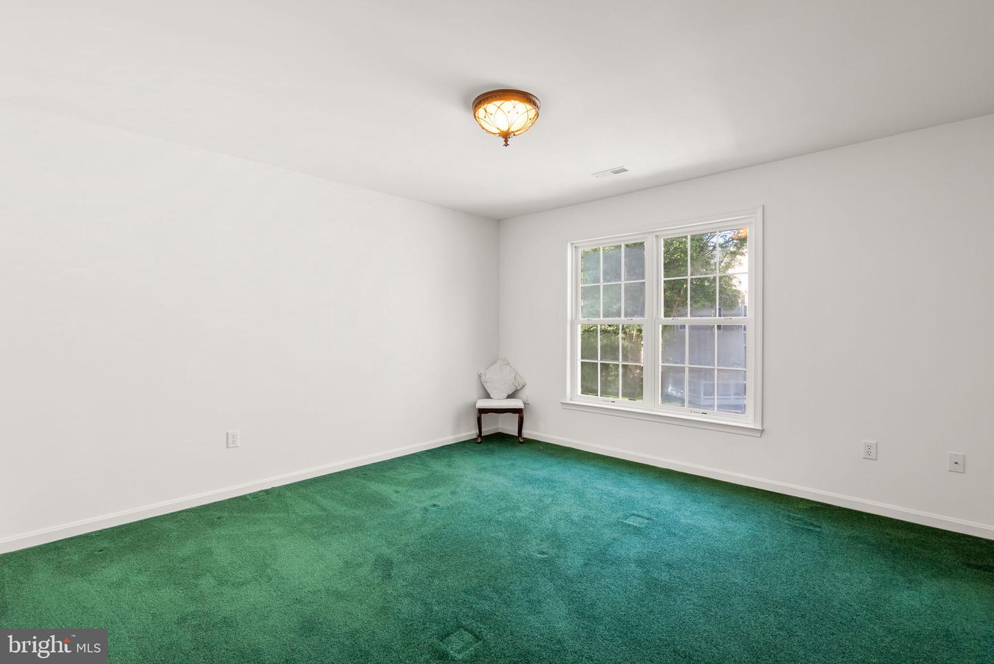 10120 Summer Glow Walk