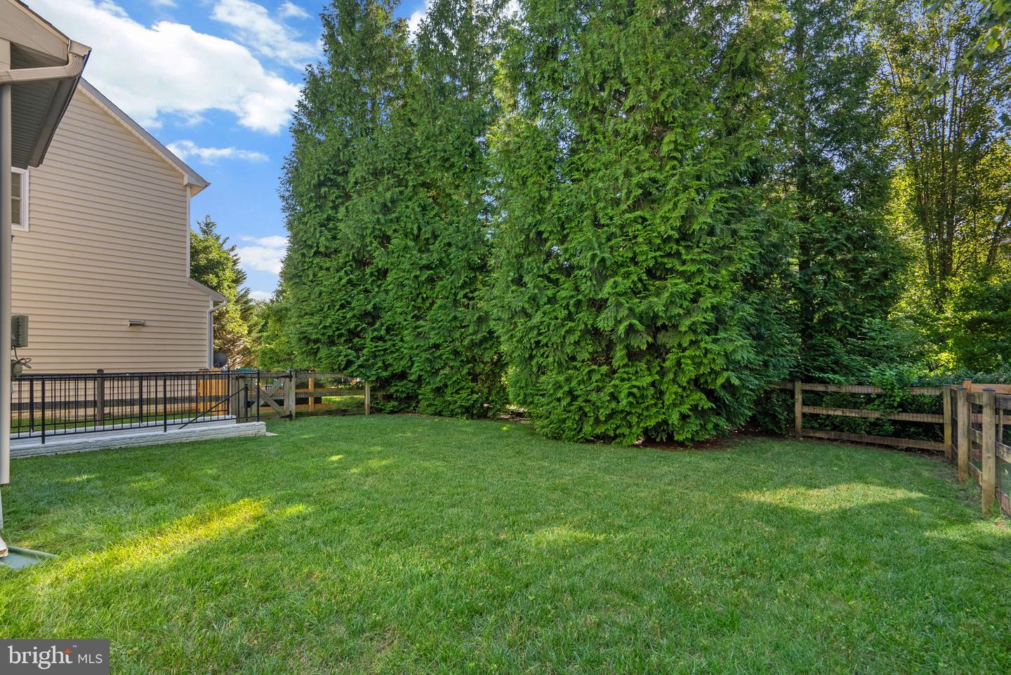 10120 Summer Glow Walk