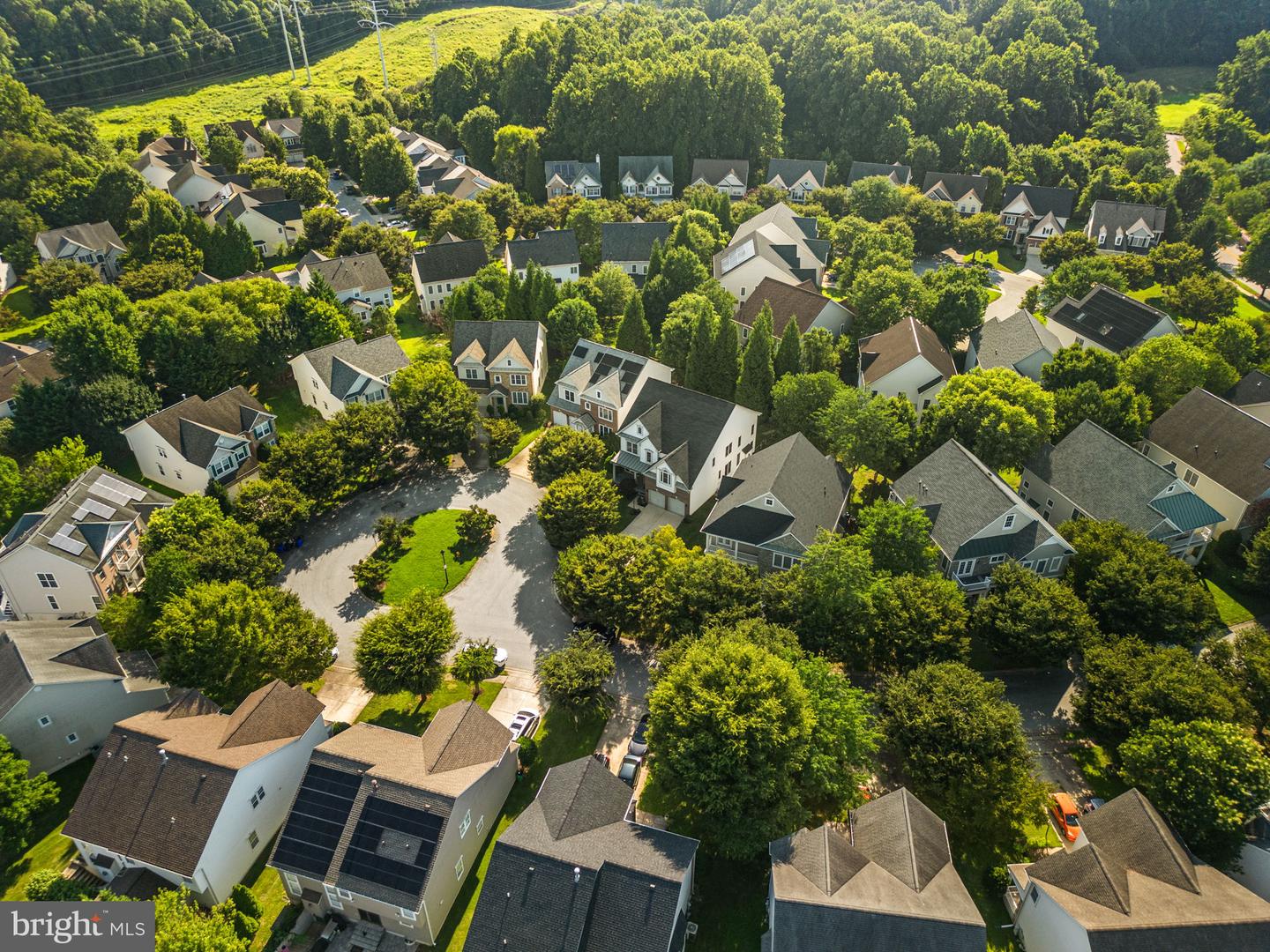 10120 Summer Glow Walk