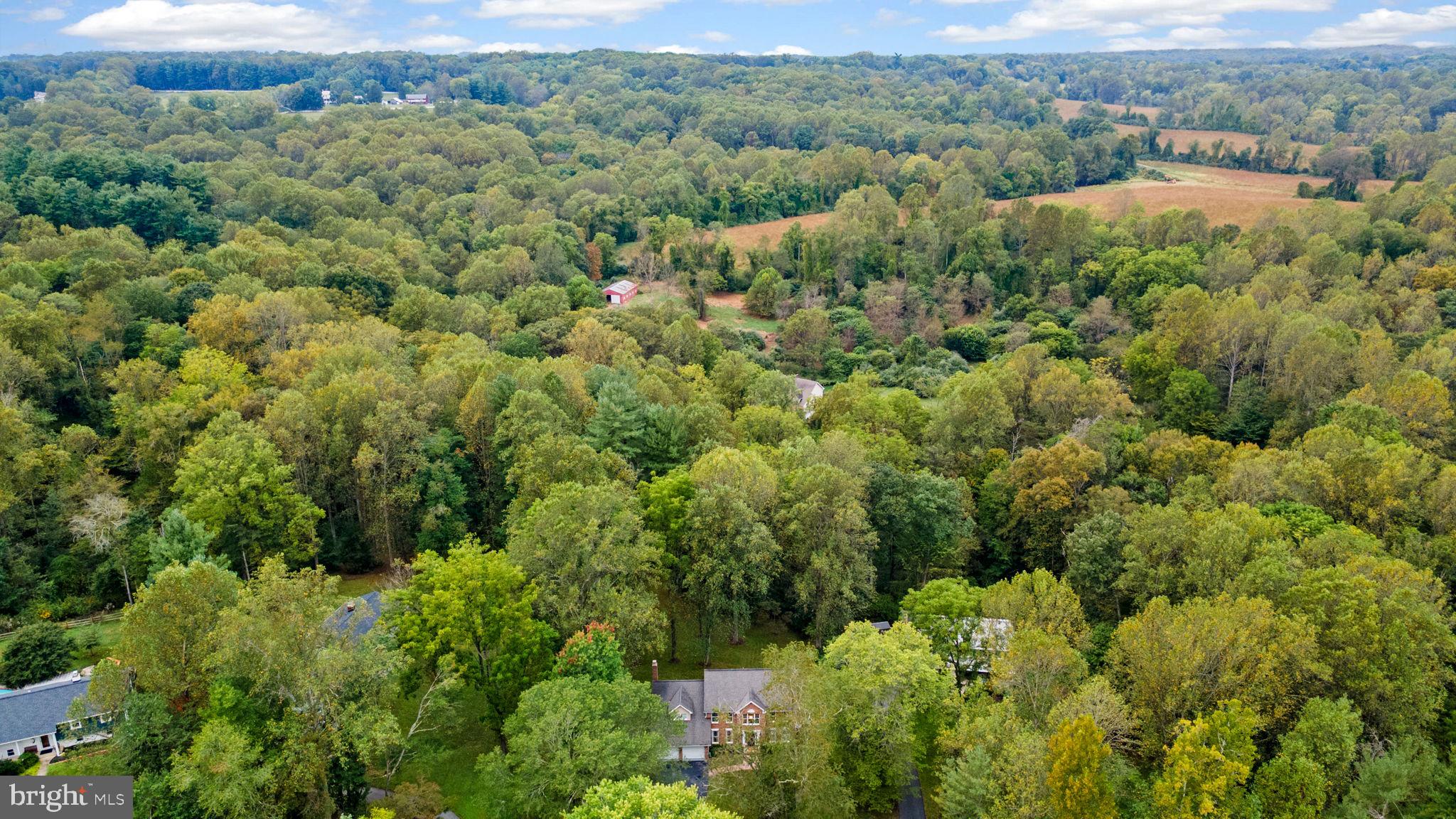 10655 BREEZEWOOD DRIVE