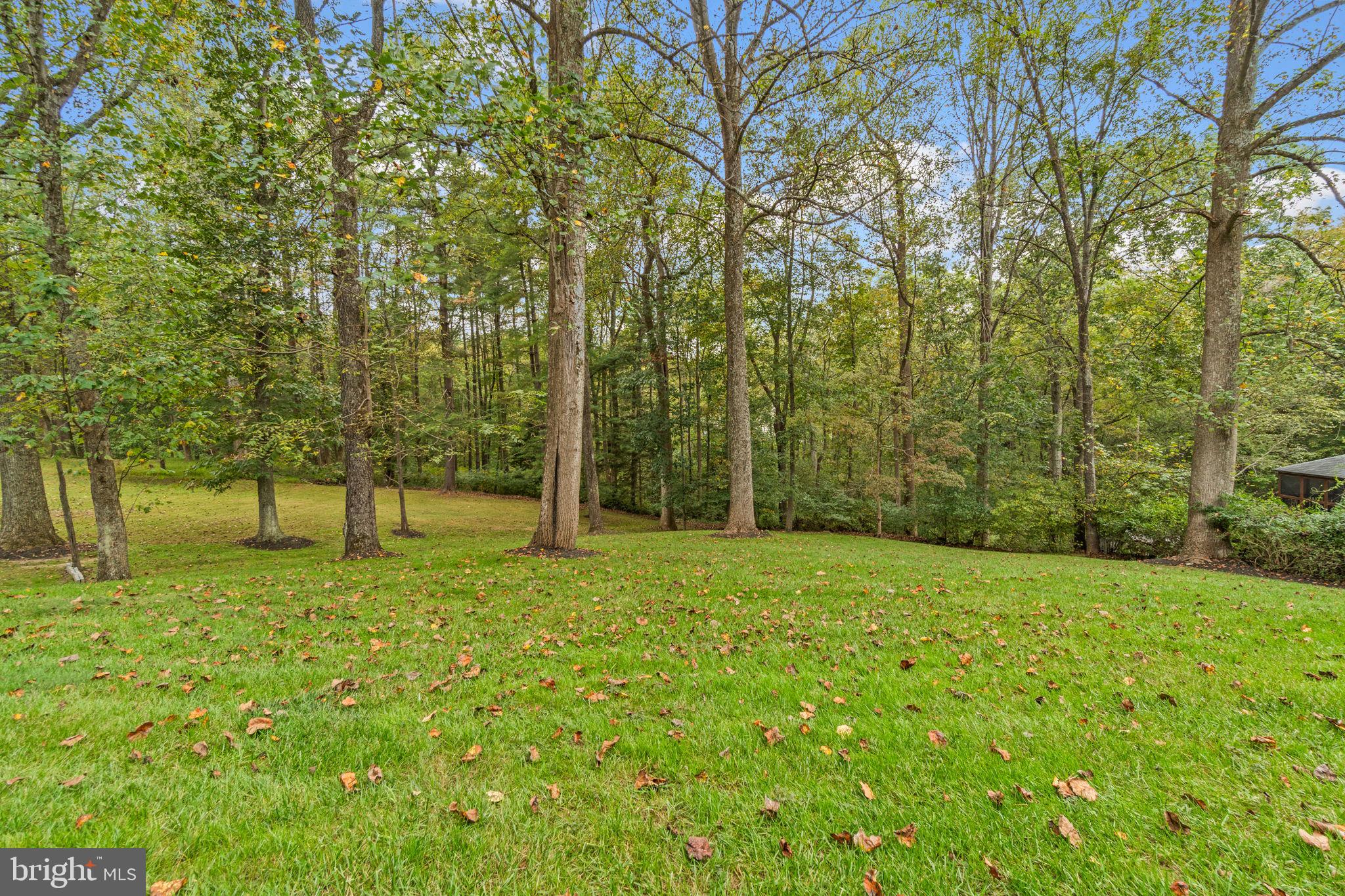 10655 BREEZEWOOD DRIVE