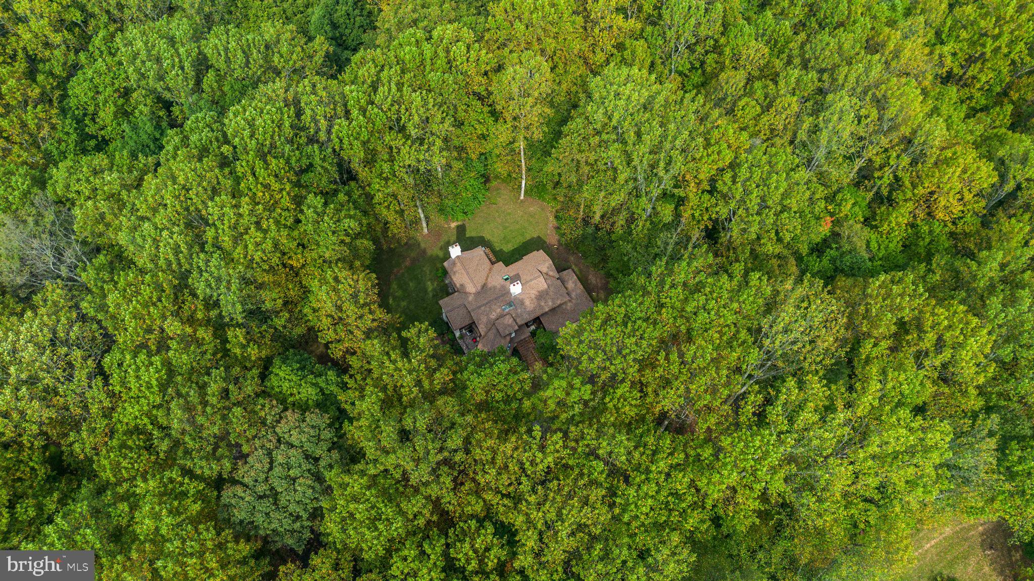 11822 LINDEN CHAPEL ROAD