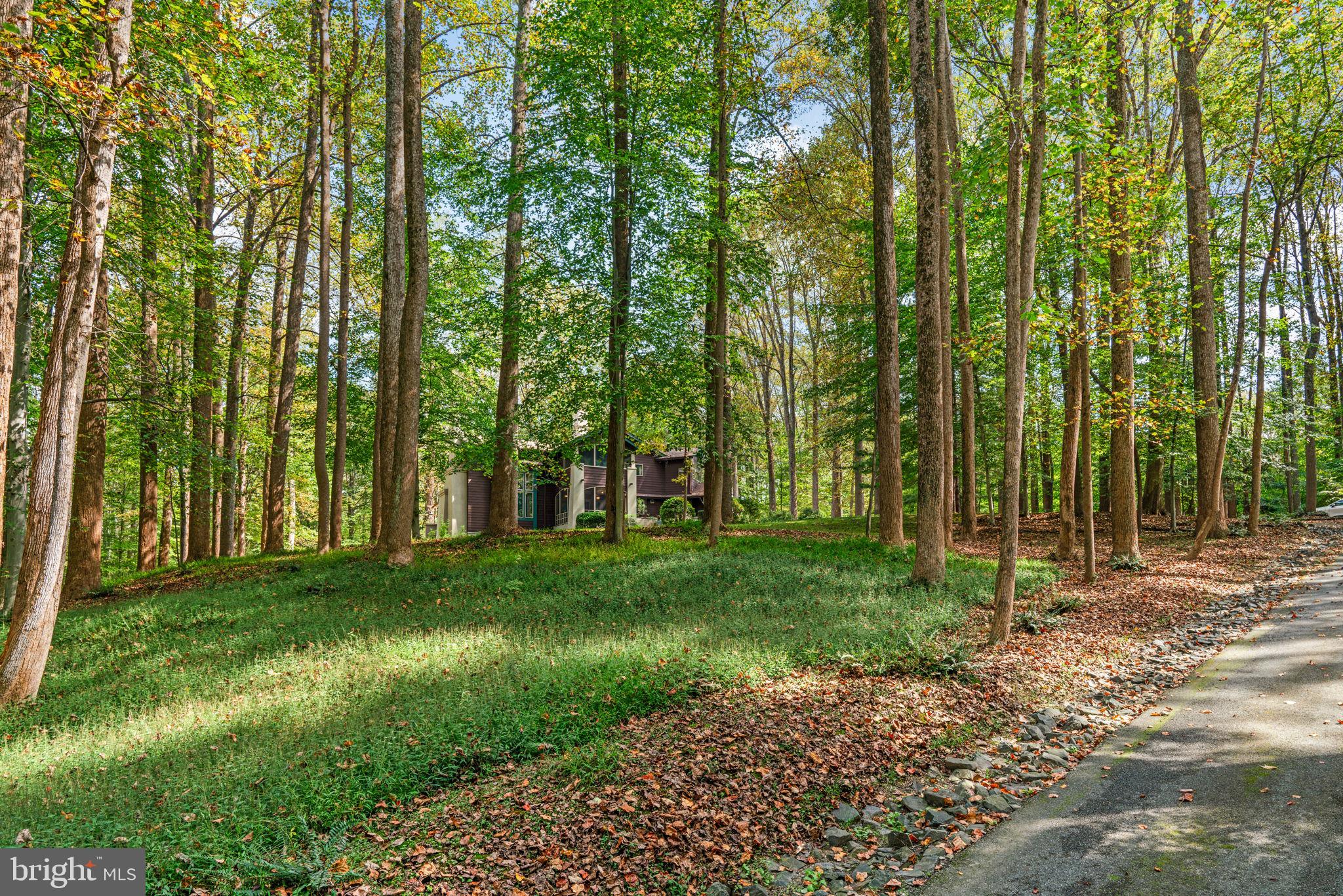 11822 LINDEN CHAPEL ROAD