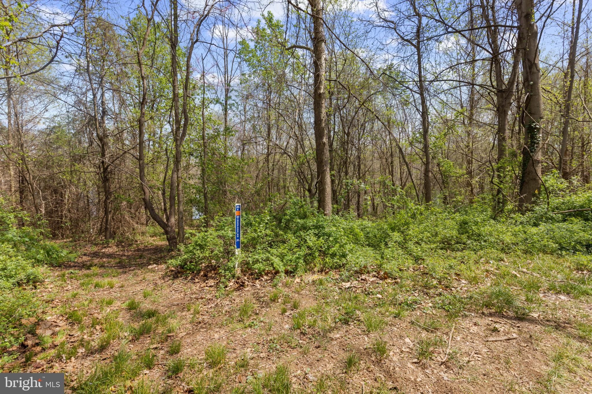 21428 Denit Estates Dr