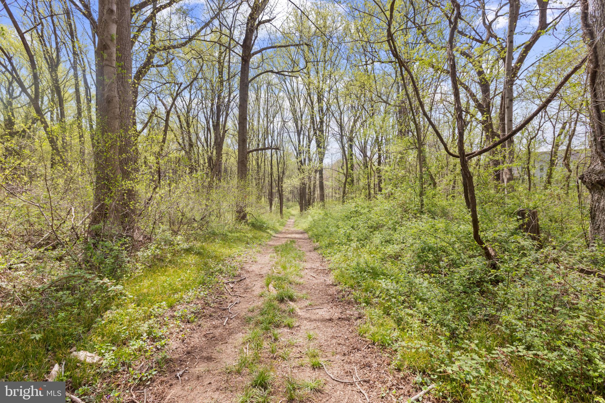 21428 Denit Estates Dr