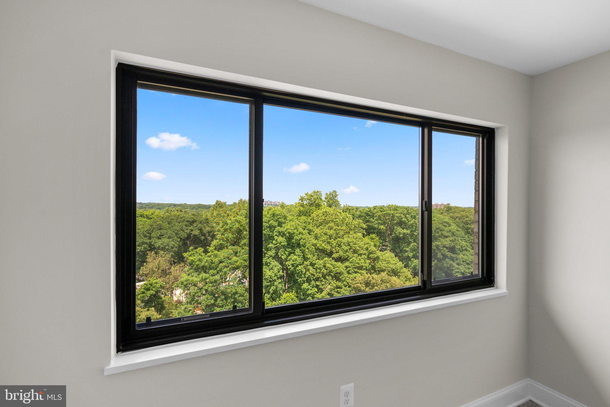 8830 Piney Branch Rd #1205