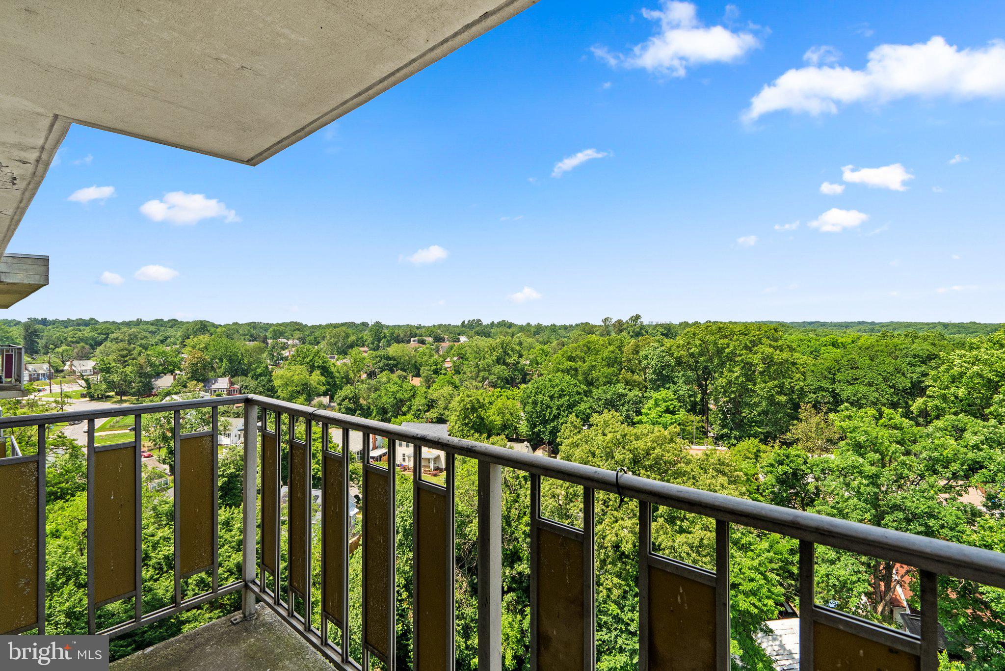 8830 Piney Branch Rd #1205