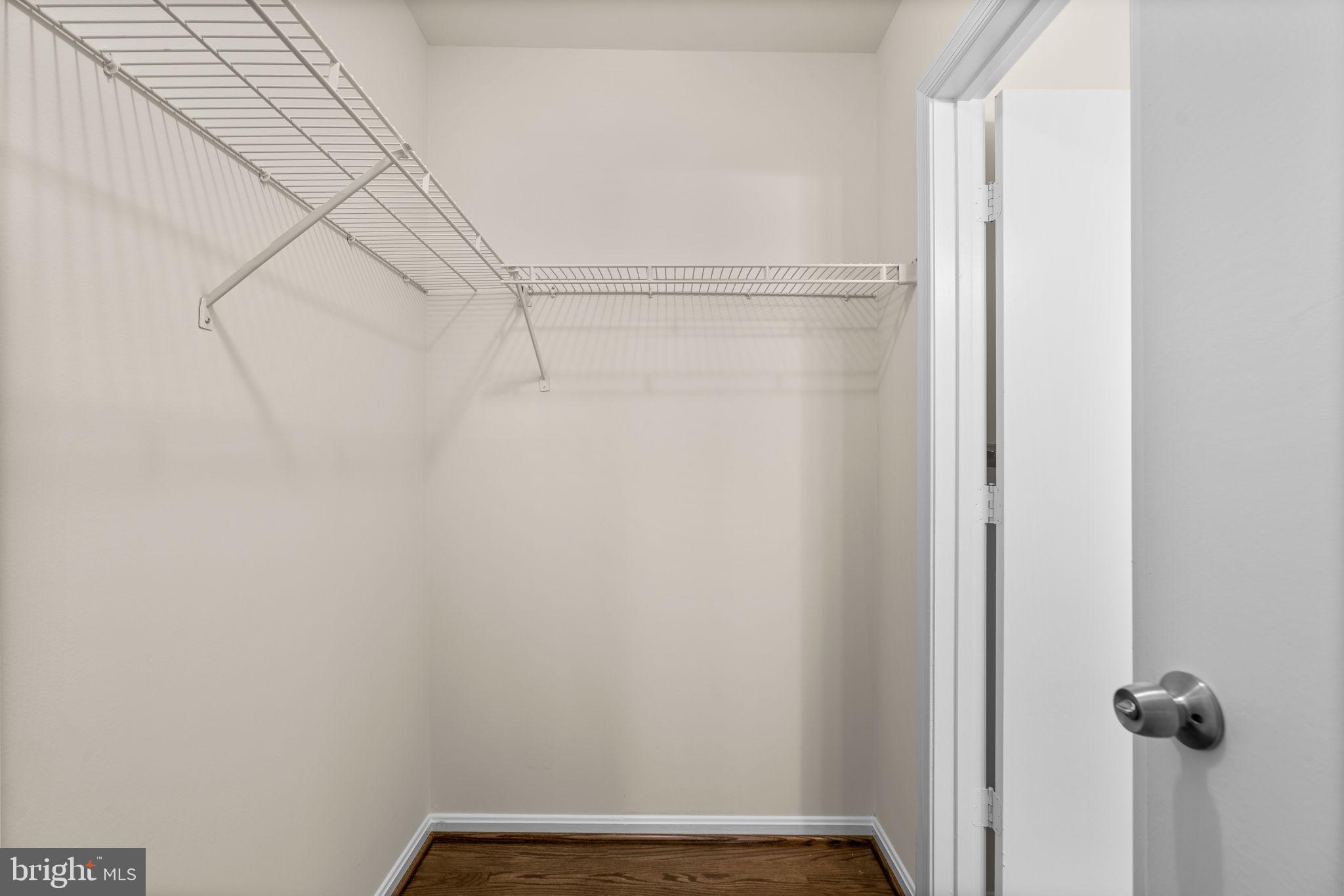 18614 Fiddleleaf Ter