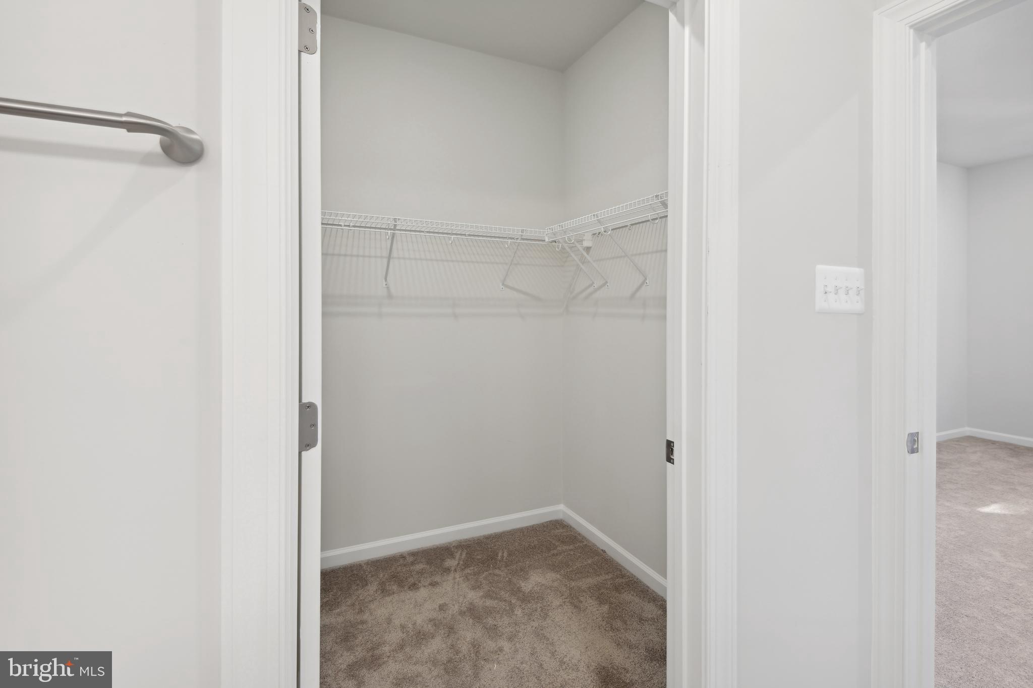 12132 American Chestnut ROAD