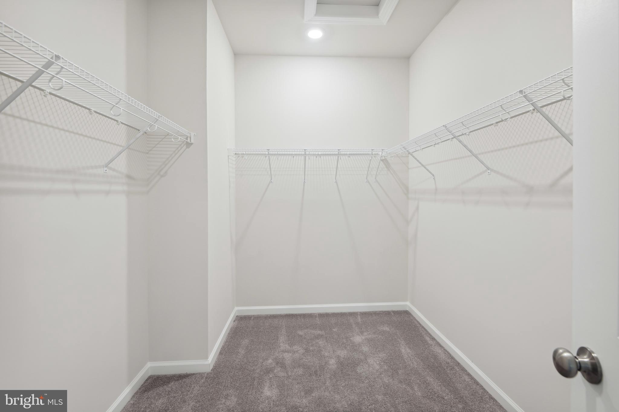 12134 American Chestnut ROAD