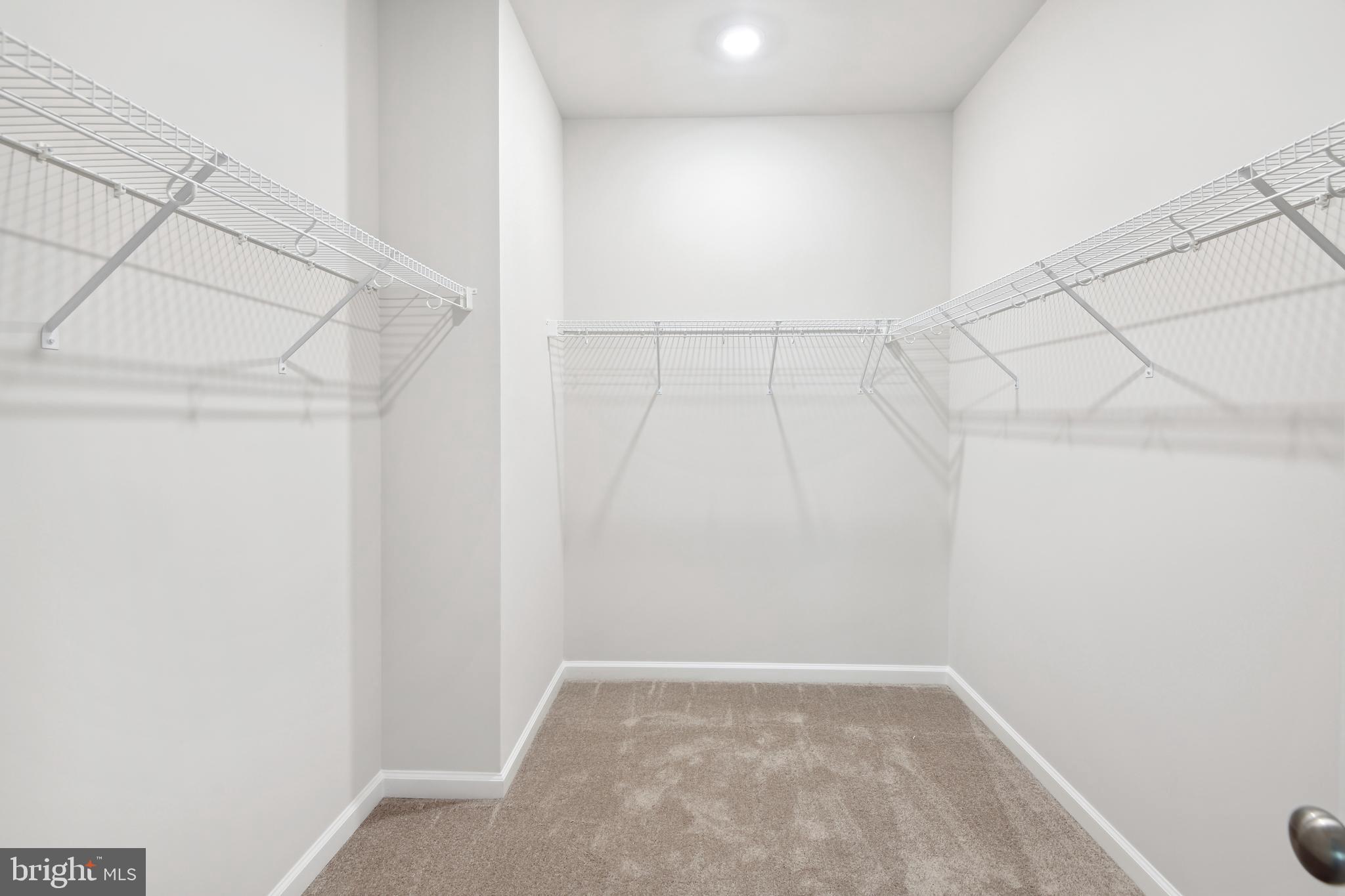 12136 American Chestnut ROAD