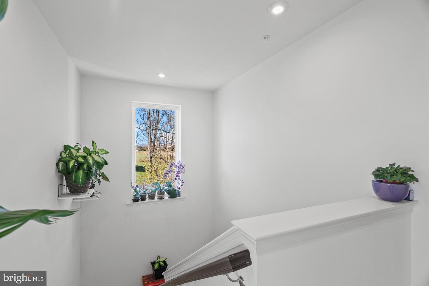 12179 Fallen Timbers Cir
