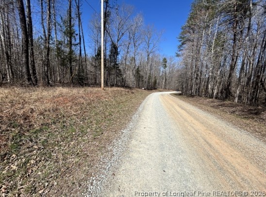 Pointe Mayo Drive