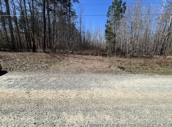Pointe Mayo Drive