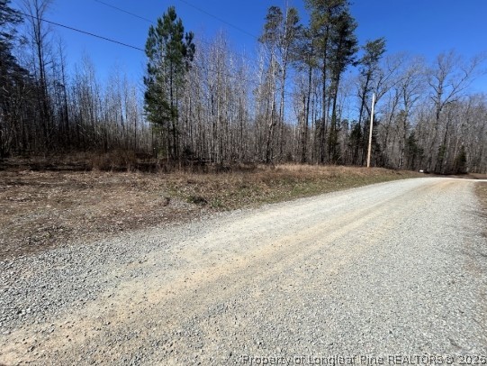 Pointe Mayo Drive