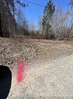 Pointe Mayo Drive