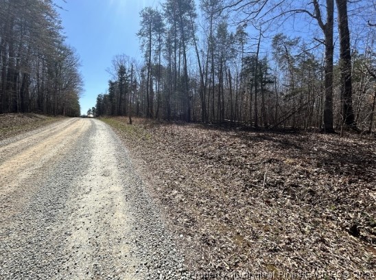 Pointe Mayo Drive