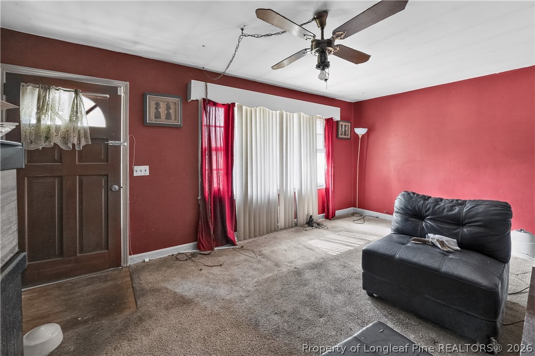 Living room with red walls, curtained windows, beige carpet, ceiling fan, and black leather sofa.