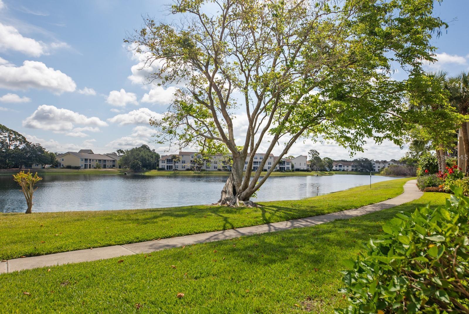 4045 CROCKERS LAKE BLVD #11
