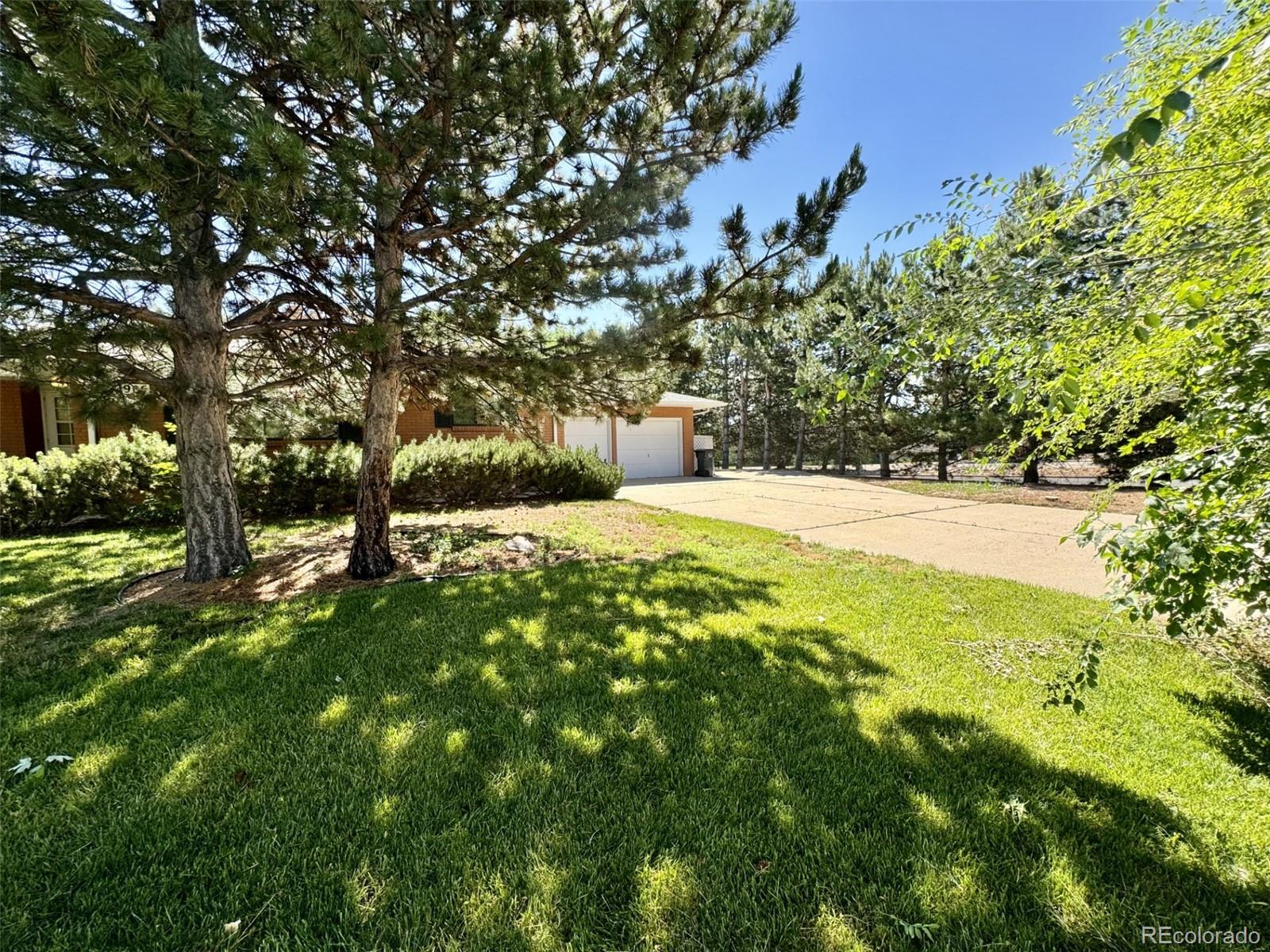 2906 ALAMOSA