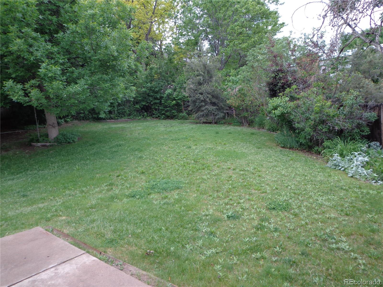 13651 Silverton Drive