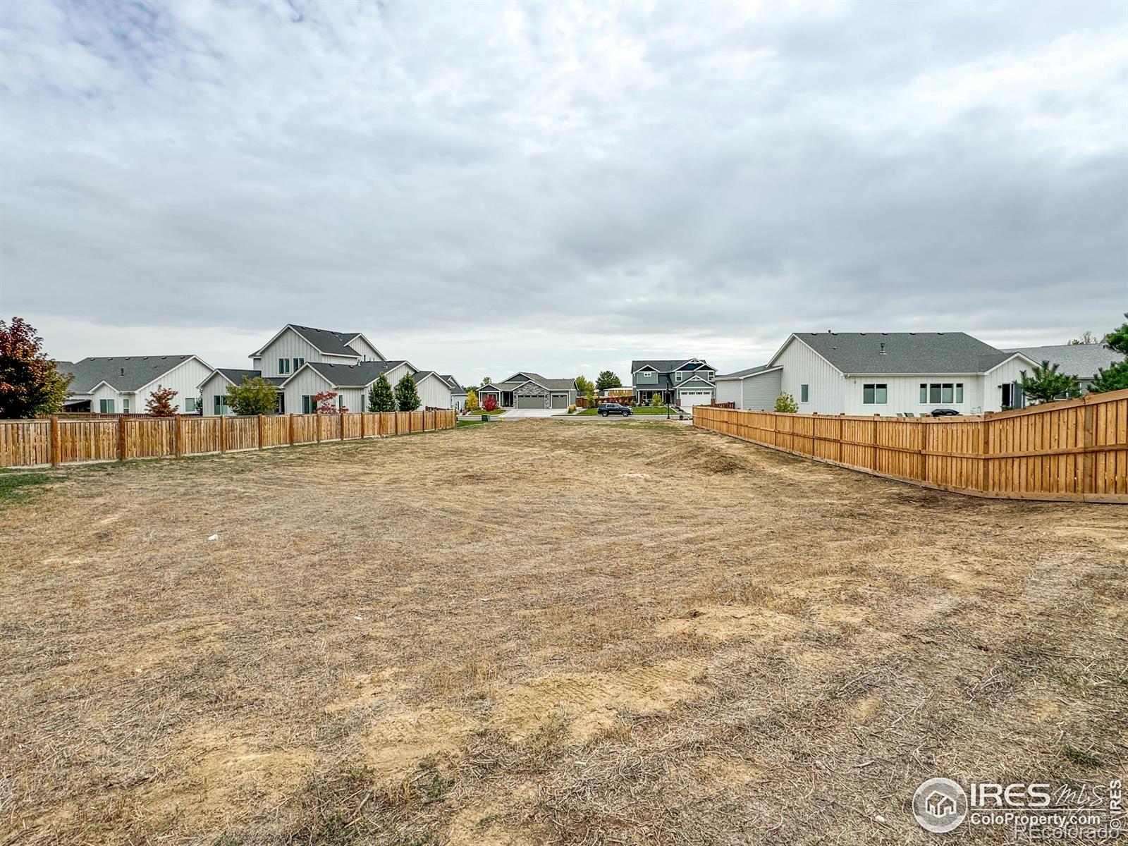 355 Banjo Drive
