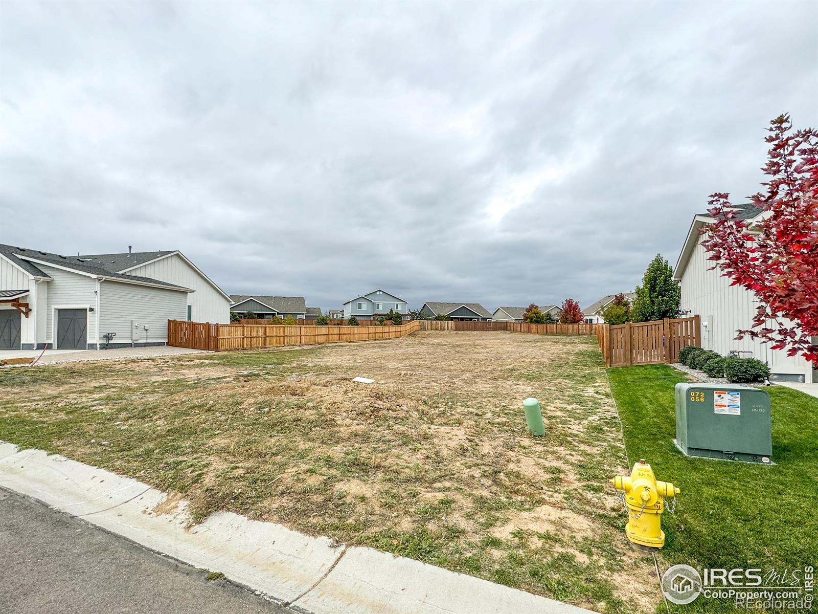 355 Banjo Drive