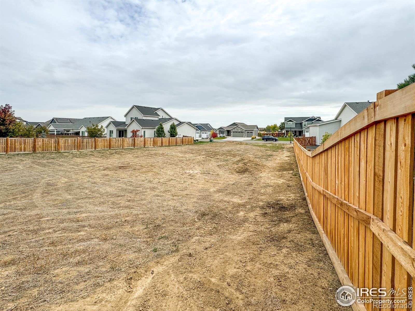 355 Banjo Drive