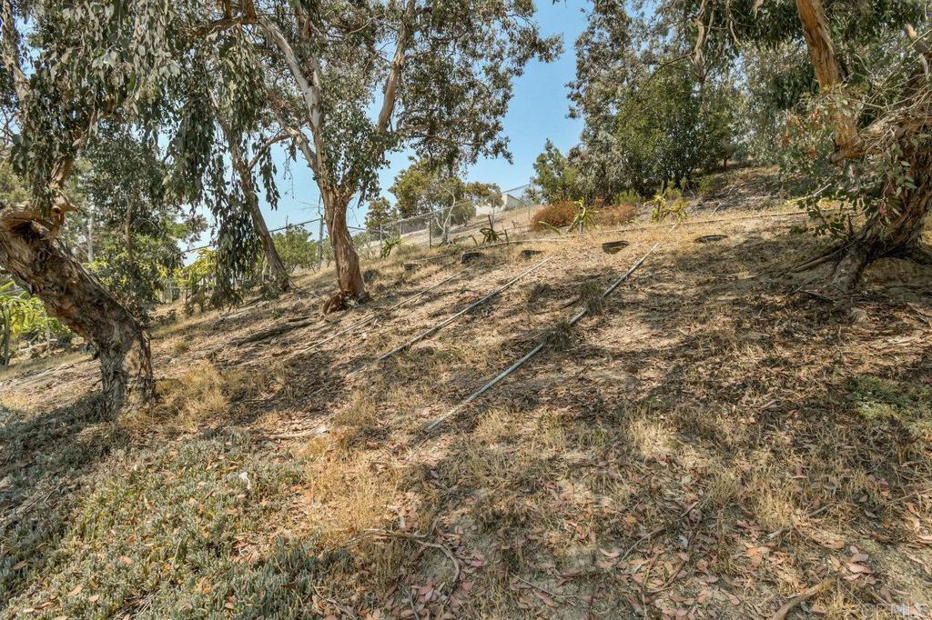 684 Kingswood Street