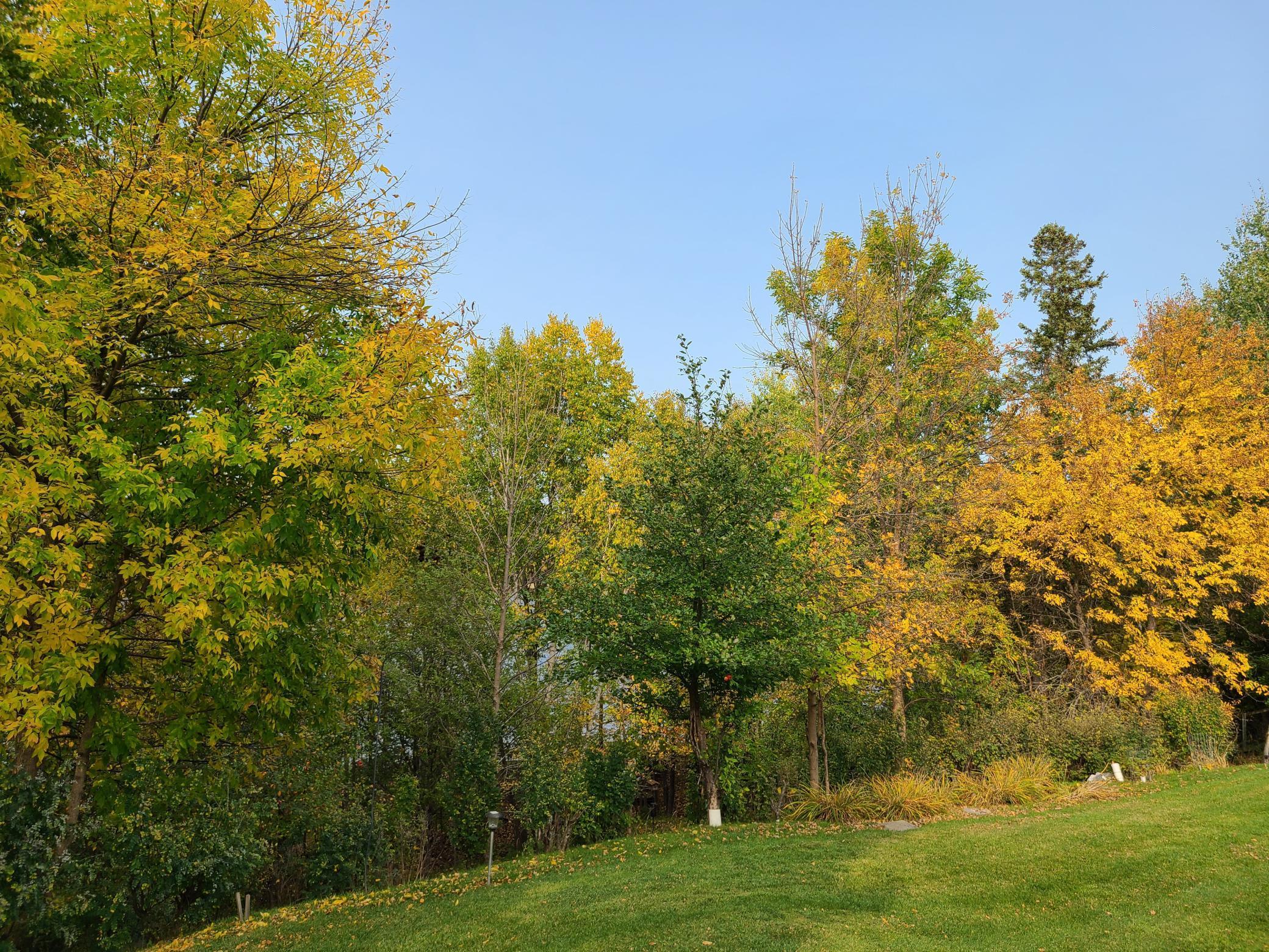 402 Shorewood Drive