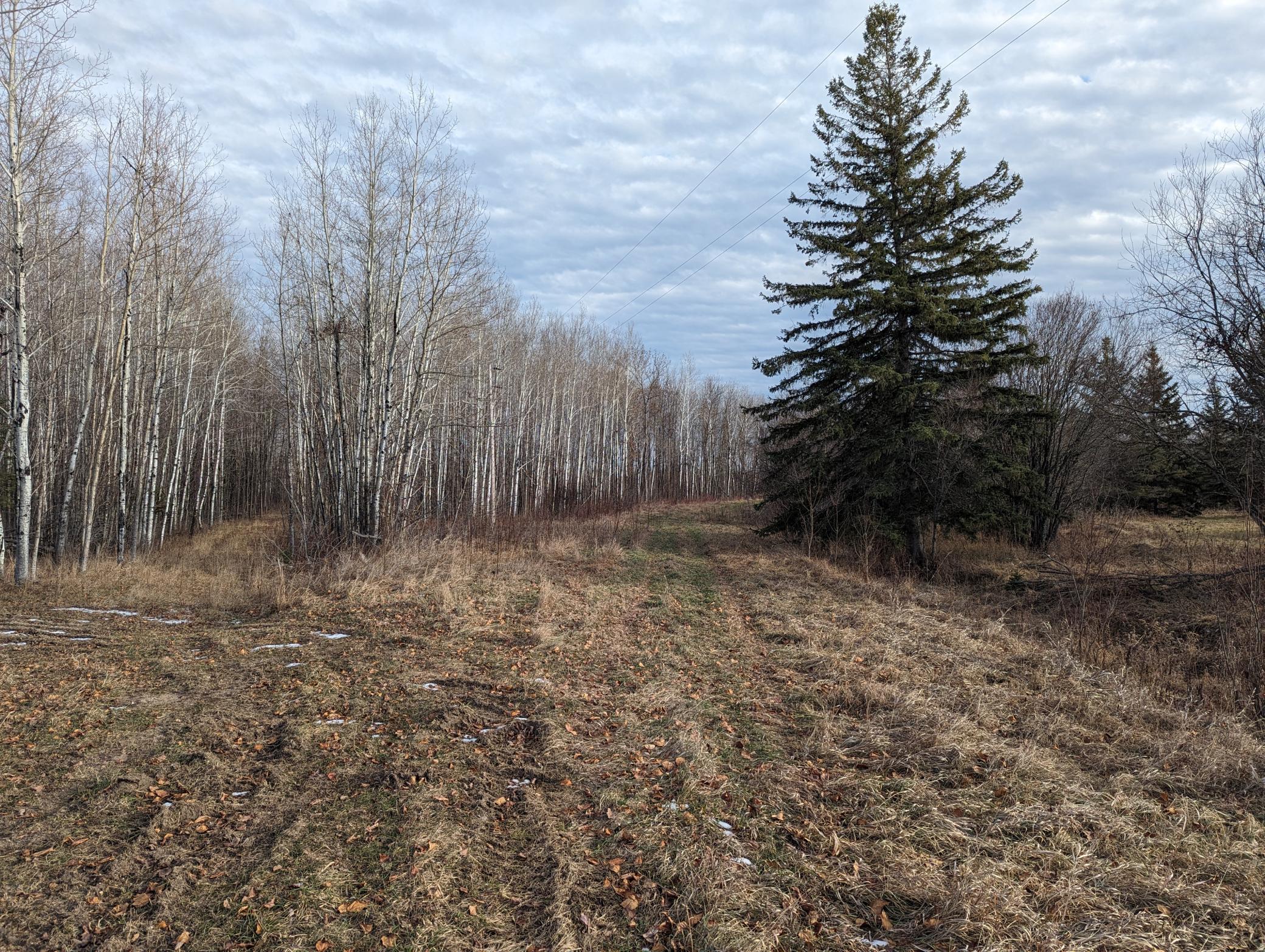 5298 County Road 8