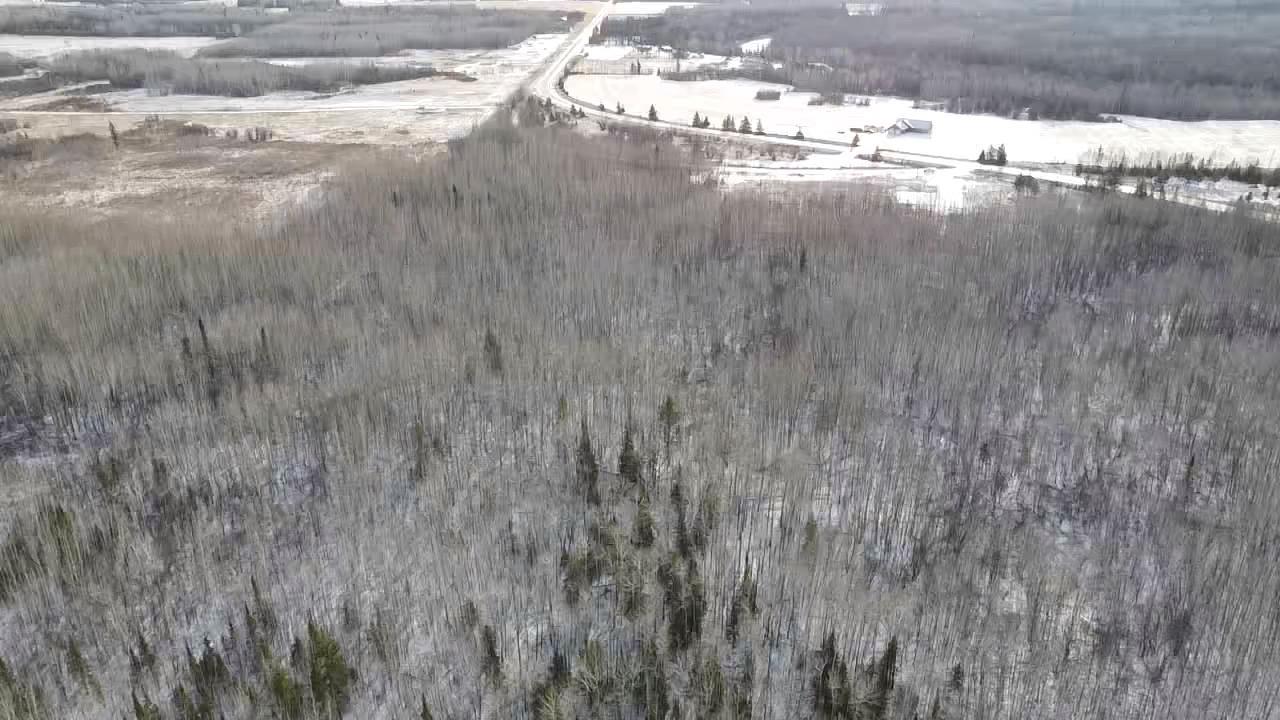 5298 County Road 8