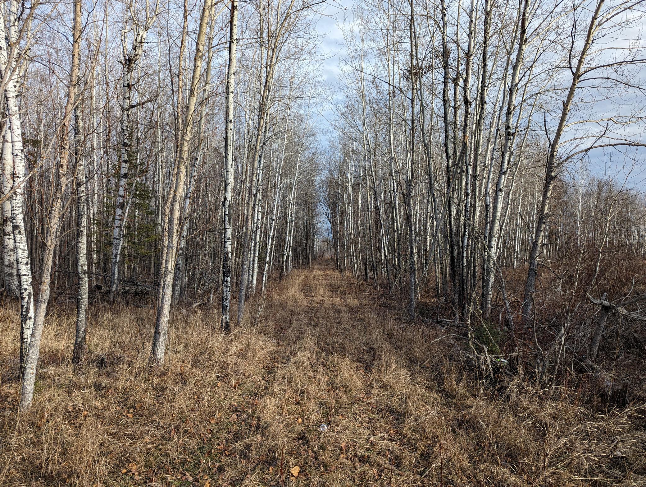 5298 County Road 8