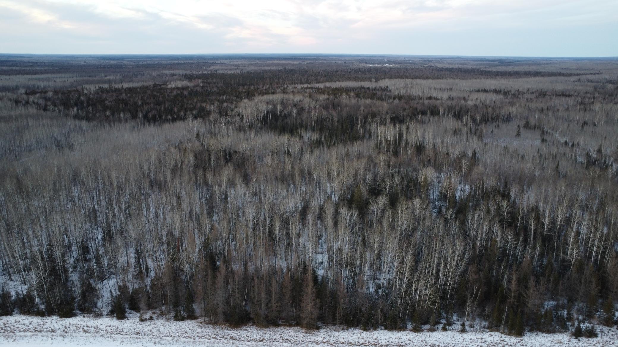 TBD County Road 77