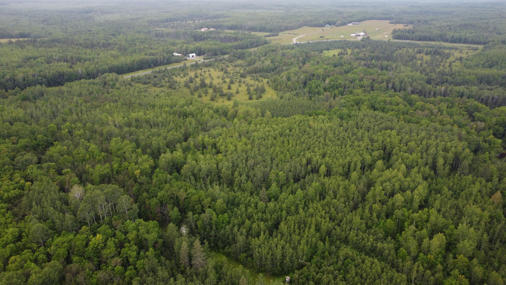 TBD County Road 3
