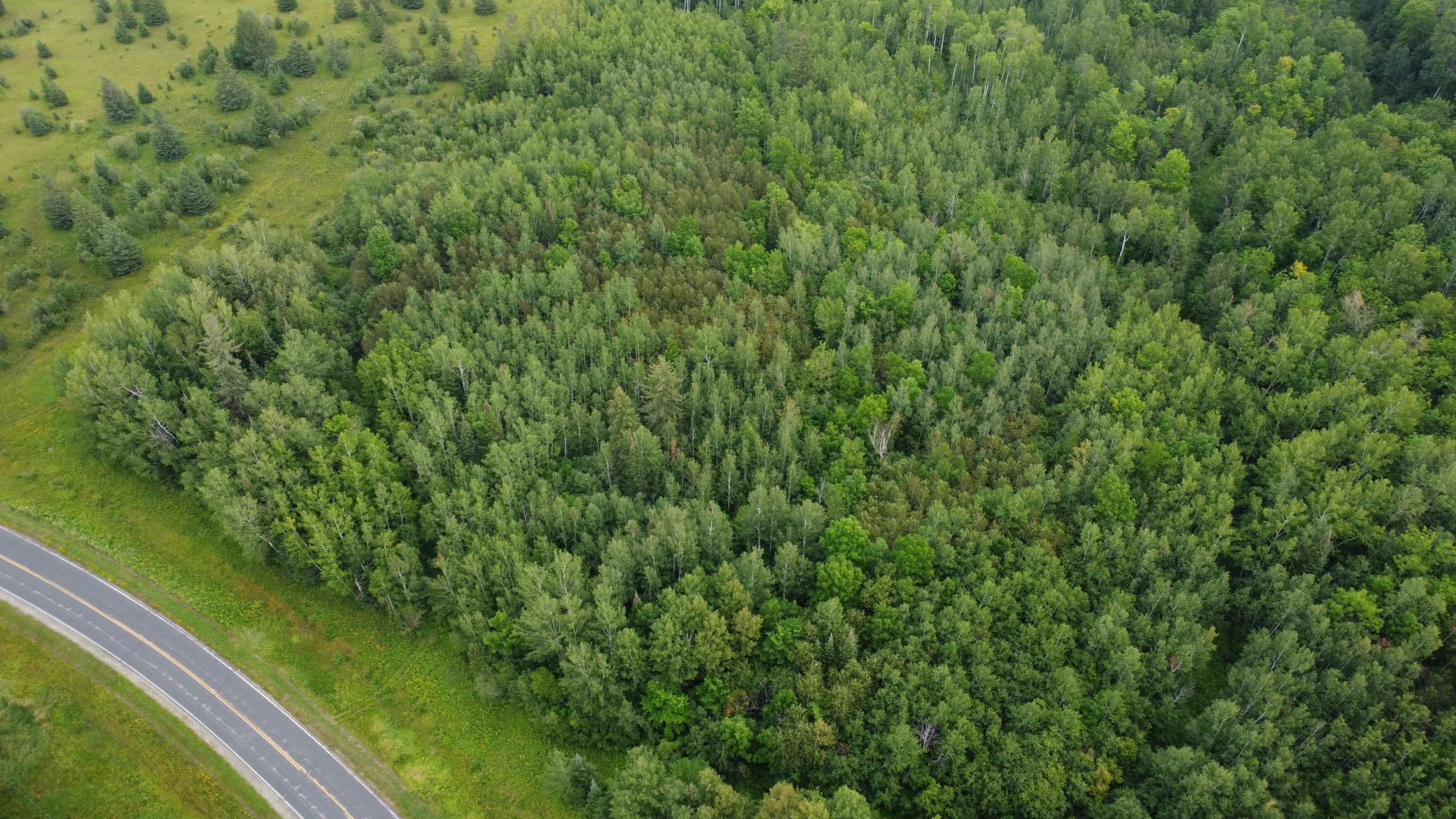 TBD County Road 3