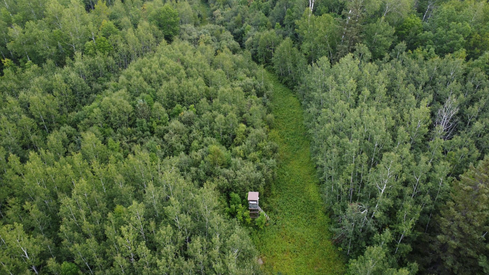 TBD County Road 3