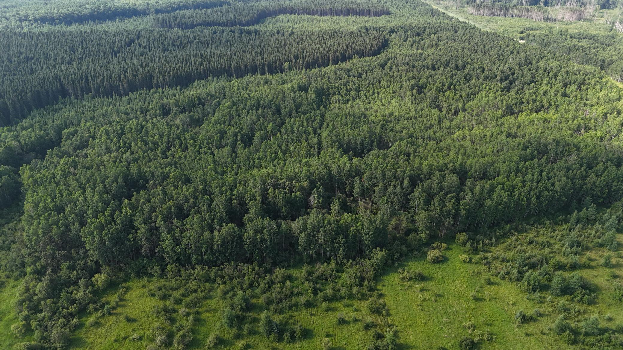 TBD County Road 14