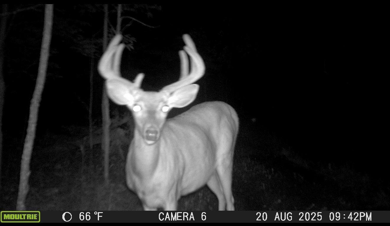 8640 State Highway 11 SE
