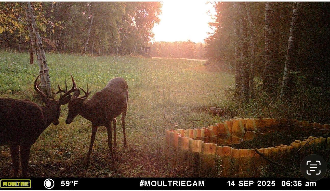 8640 State Highway 11 SE