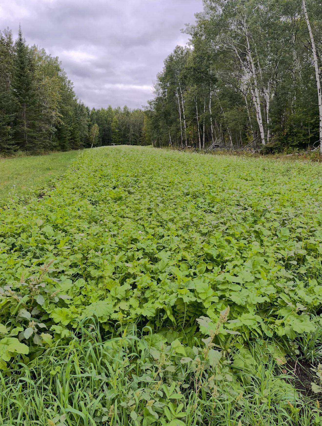 8640 State Highway 11 SE