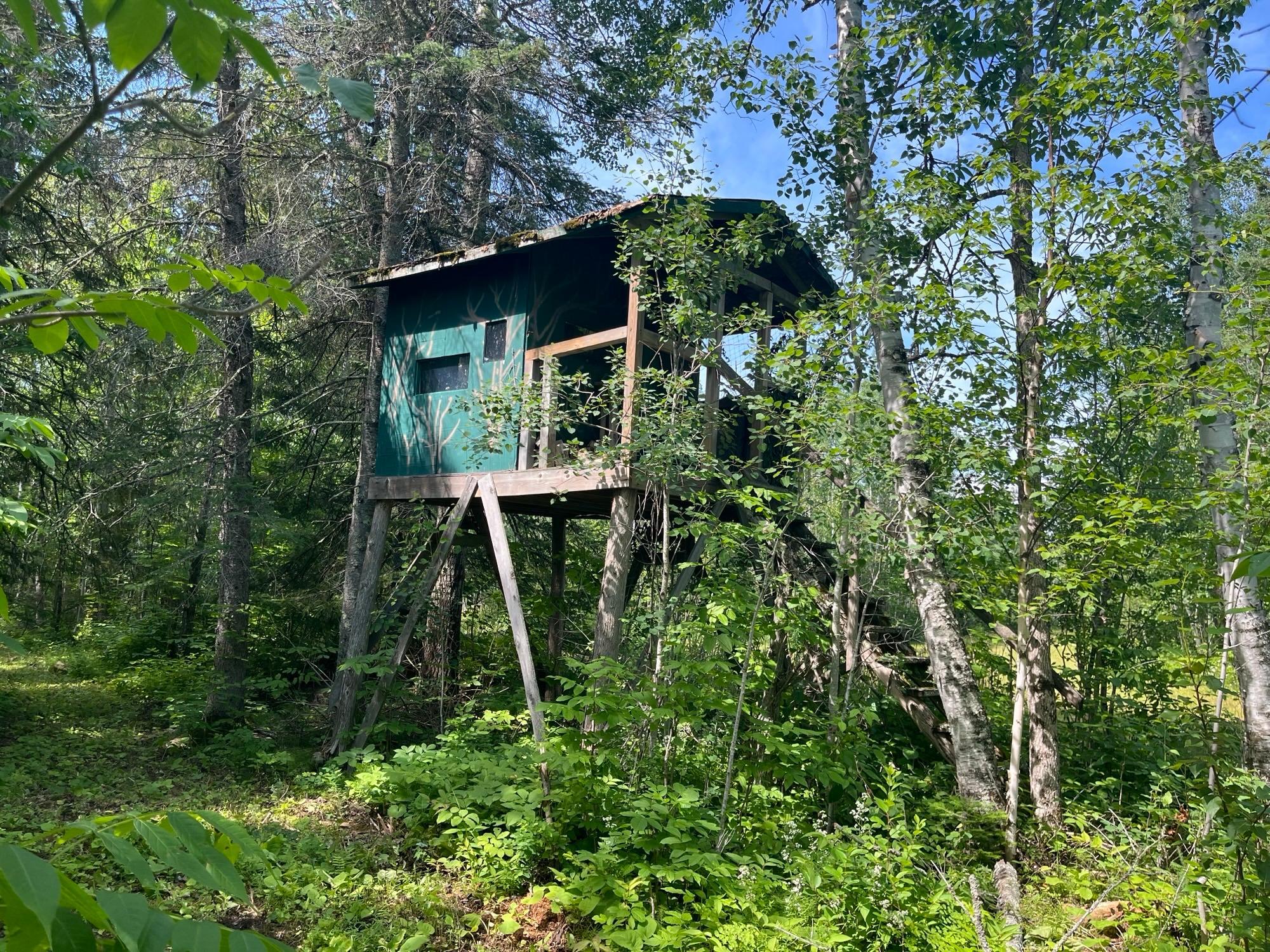 1961 Town Road 118