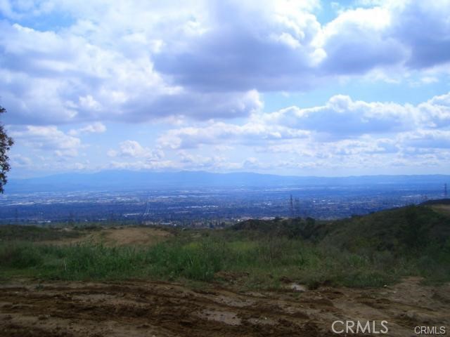 10095 Snow Drop Road