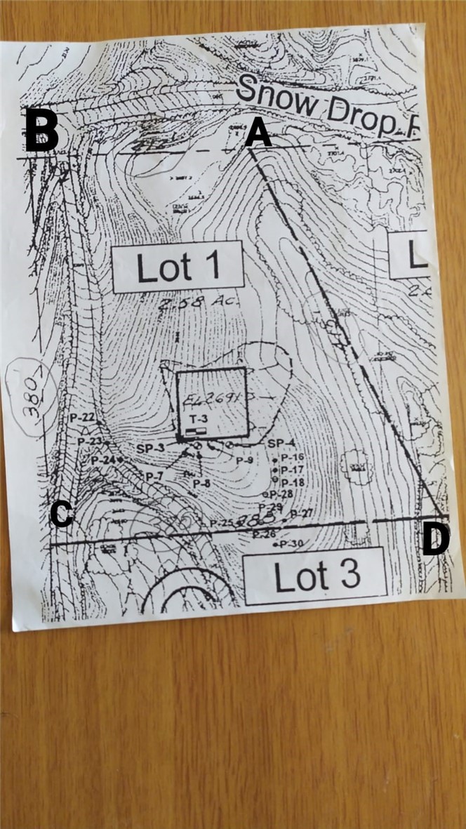 10095 Snow Drop Road