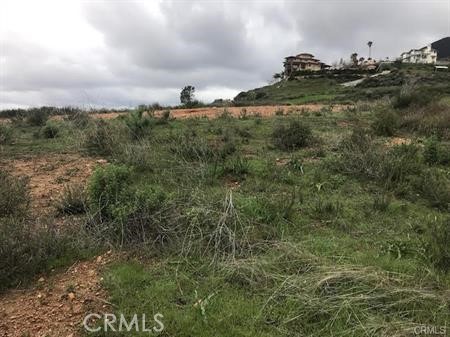 10095 Snow Drop Road