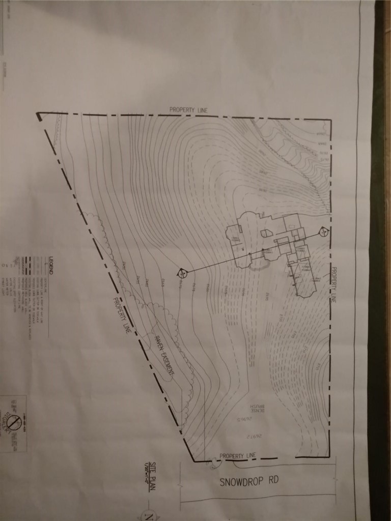 10095 Snow Drop Road