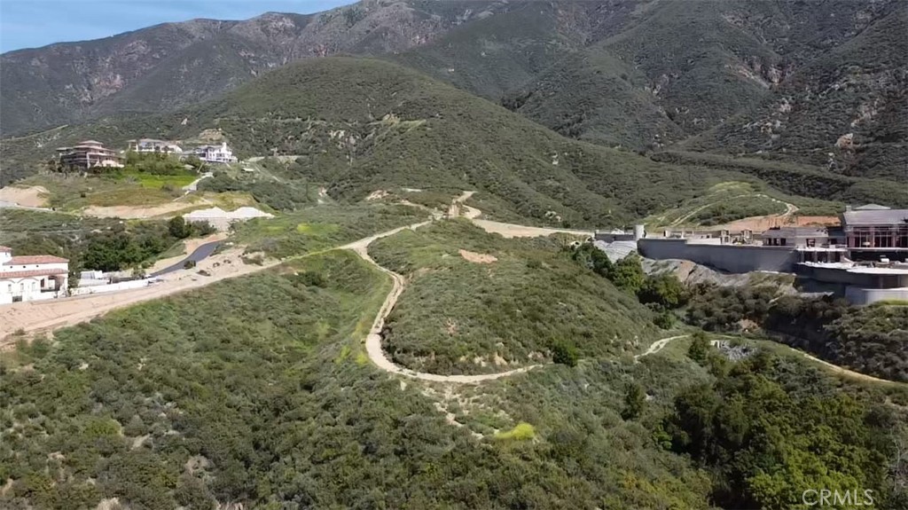 10095 Snow Drop Road