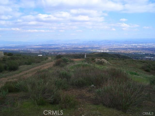 10095 Snow Drop Road