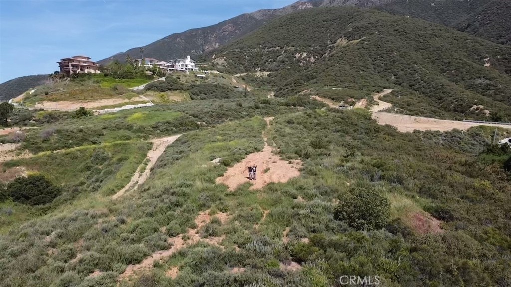 10095 Snow Drop Road